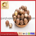 Export Quality Macadamia Nuts with Creamy Flavor